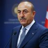 cavusoglu 12