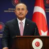cavusoglu 14