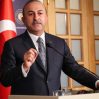 cavusoglu el 11