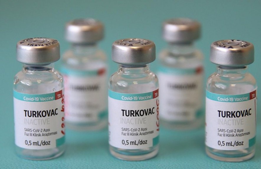 turkovac 11