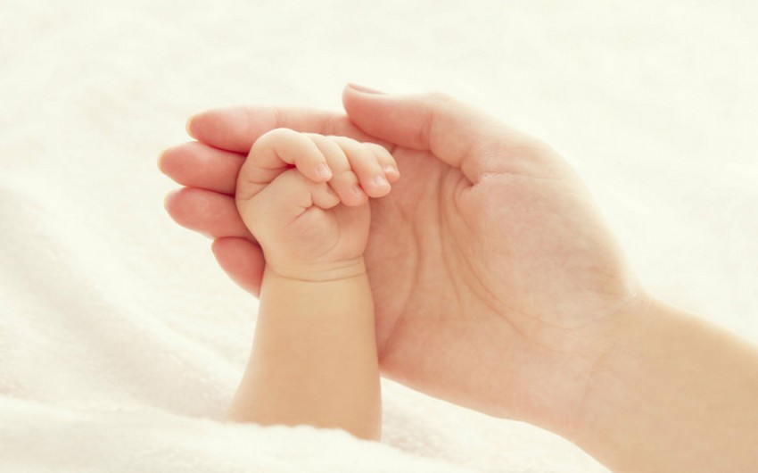 Ağdaşda körpə bitki toxumunu yeyərək zəhərləndi