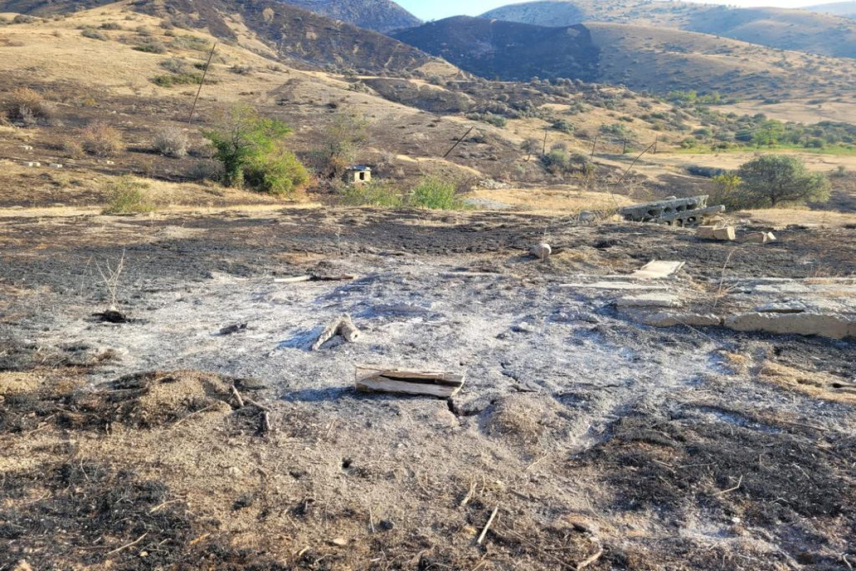 Altıağac Milli Parkına keçən yanğın nəyə görə olub? - BİRGƏ MƏLUMAT