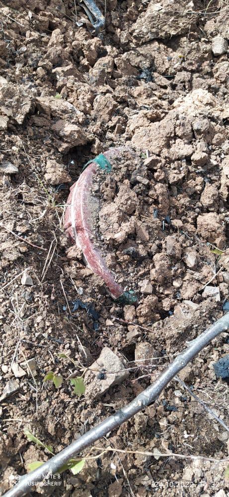 Agentlik: "Ağdam, Cəbrayıl və Laçında məzarlıqların minalanmasına dair dəqiq məlumatlar var"