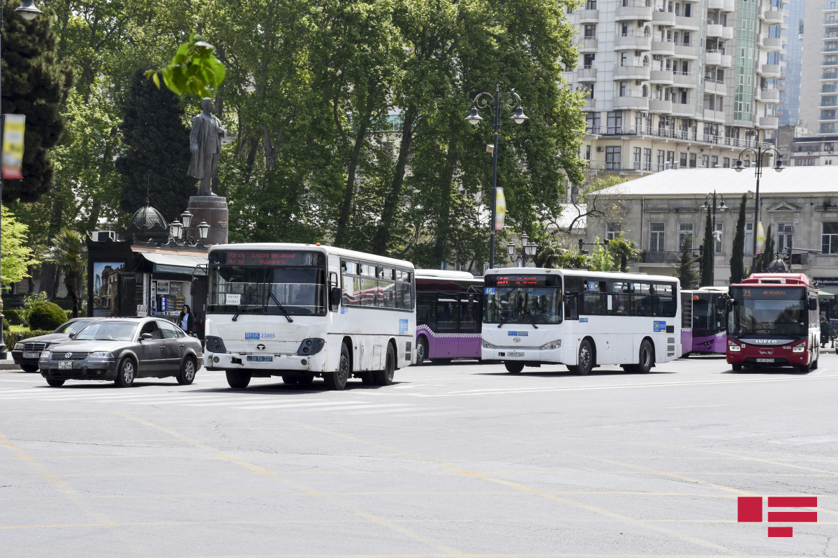 avtobuslar