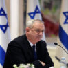 benni qantz