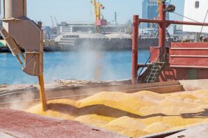 AKP: "Türkiyə Rusiyanın taxıl müqaviləsi ilə bağlı qərarından təəssüflənir"