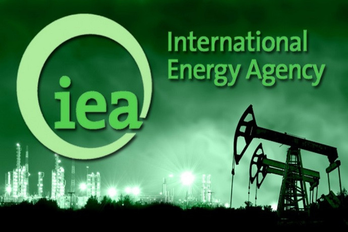 Международное энергетическое агентство. The International Energy Agency (IEA). МЭА страны. МЭА.