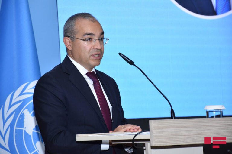 "Azərbaycanın 2030-cu ilə qədər əsas hədəfi..." – Mikayıl Cabbarov