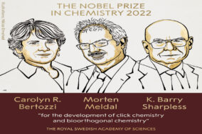 nobel kimya