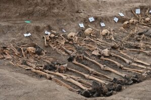 BQXK və Dövlət Komissiyası 10 min bioloji nümunə toplayıb