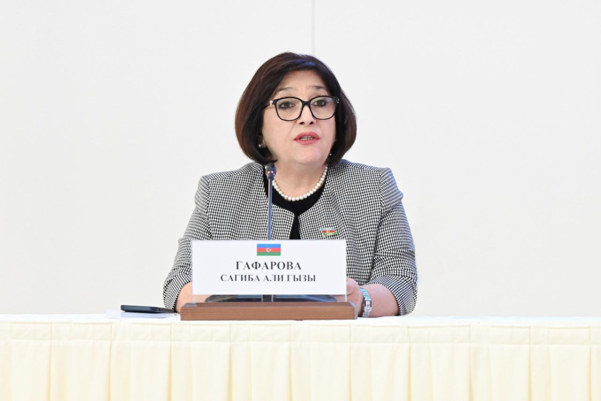 Sahibə Qafarova MDB PA-nın mətbuat konfransına qatıldı - FOTOLAR