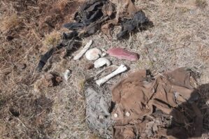 Kəlbəcərdə insan sümüyü və qadına məxsus geyim əşyaları aşkarlandı