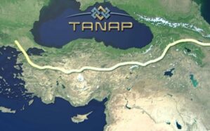 tanap 11
