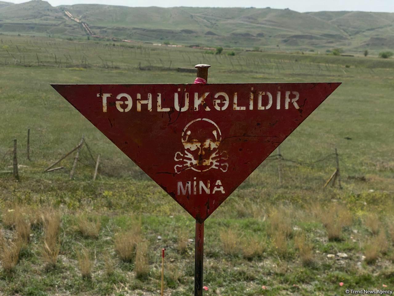Azad edilmiş torpaqlarda nə qədər ərazi minalardan təmizlənib?