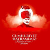 turkiye gun 11