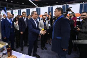 Bakıda Beynəlxalq Xeyriyyə Yarmarkası keçirildi - FOTOLAR