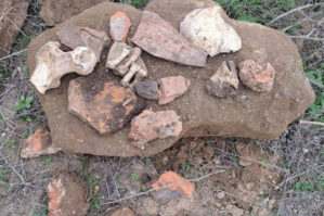 Cəlilabadda ilkin orta əsrlər dövrünə aid yaşayış məskəni aşkar edildi - FOTO