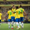 braziliya millisi