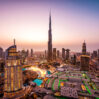 dubay 11