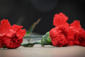 Polis Bakıda mənzilə qumbara və qərənfil qoyan şəxsi tapdı