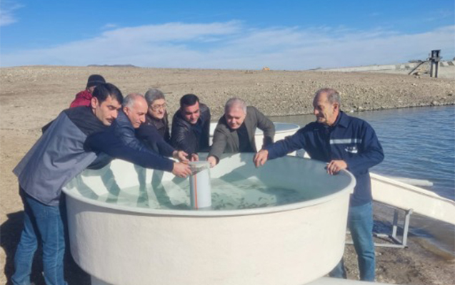 Ağdamda Xaçınçay su anbarına balıq körpələri buraxıldı - FOTO