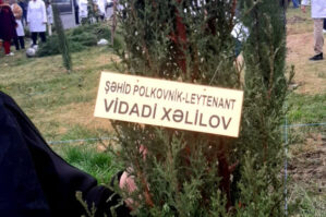 Şəhid valideynləri ağac əkdilər - FOTOLAR