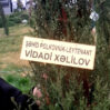 sehid agac