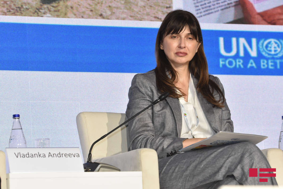 BMT Azərbaycan hökumətinə tövsiyələr verəcək