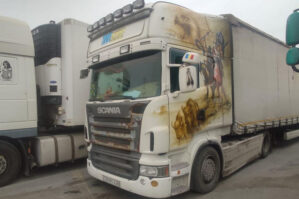 Yük maşınının üzərinə heyvan şəkilləri çəkdirdi - FOTO / VİDEO