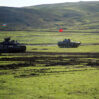 birge telim