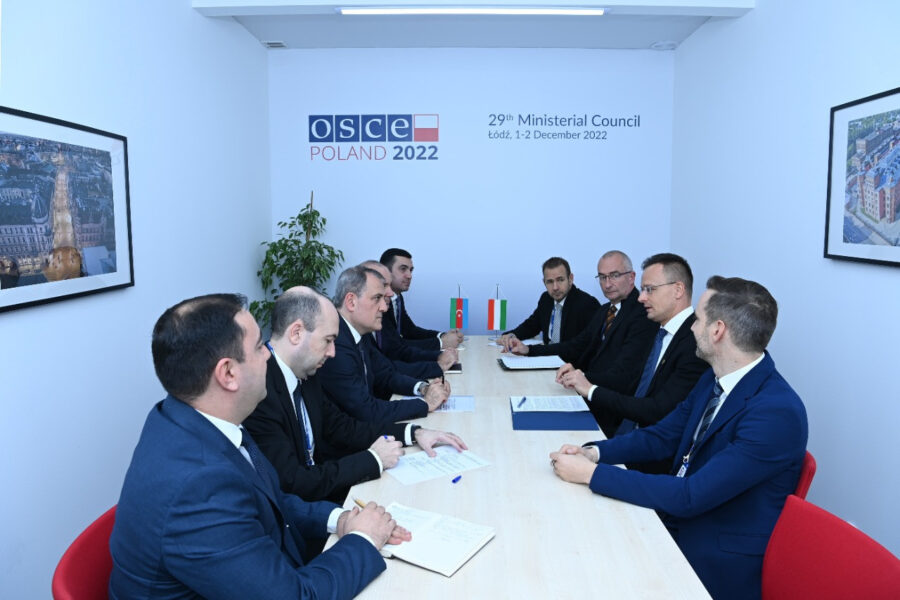 Ceyhun Bayramov Polşada bir sıra görüşlər keçirdi - FOTOLAR