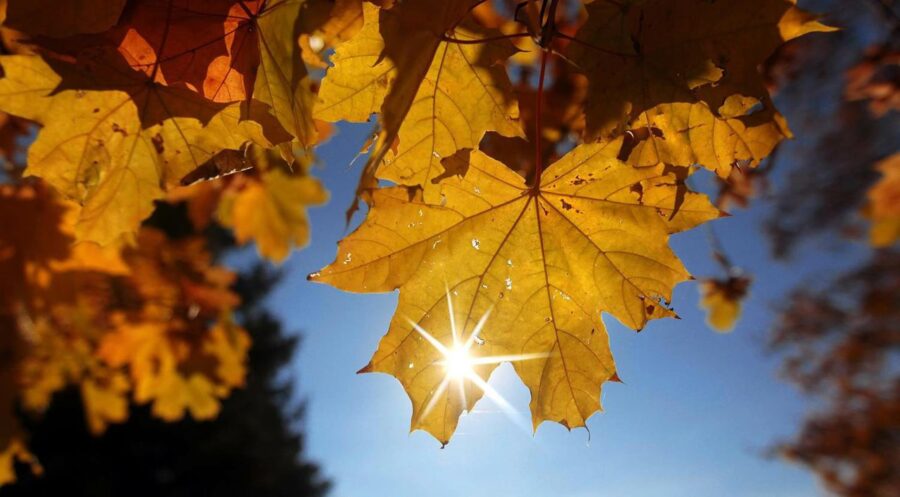 Azərbaycanda iqlim norması dəyişdi – RƏSMİ