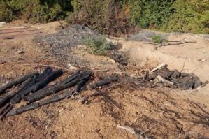 Cəlilabadda qanunsuz kömür quyuları tapıldı