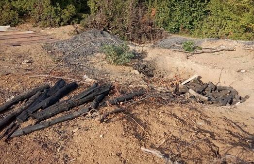 Cəlilabadda qanunsuz kömür quyuları tapıldı