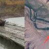 lacin volkov esdsddsa