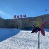 susa qar