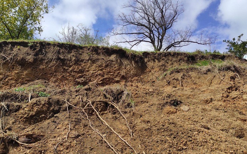Yardımlıda dəhşət: torpağın altında qalaraq öldü