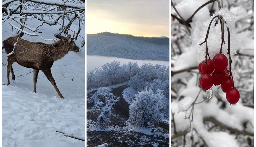 Qar yağdı, maraqlı görüntülər ortaya çıxdı - FOTO+VİDEO 1 2582883b21baa05c1a109db8ebaf71a3