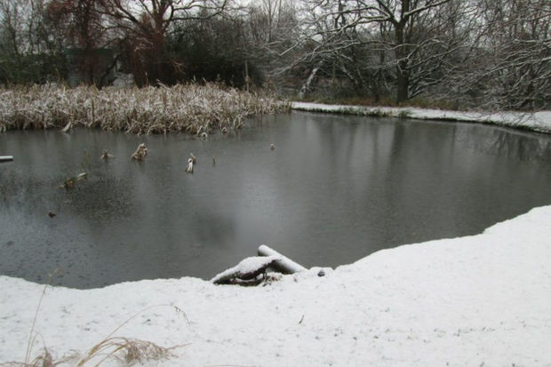 Neftçalada içkili kişi qar suyu ilə dolmuş gölməçədə boğuldu