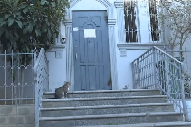 Bakıda uşaq sığınacağında İNSİDENT: Polis maşınının şüşələrini kim qırdı? - AÇIQLAMA / VİDEO 1 Bakıda uşaq sığınacağında İNSİDENT: Polis maşınının şüşələrini kim qırdı? - AÇIQLAMA / VİDEO