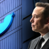 Musk Twitter stake