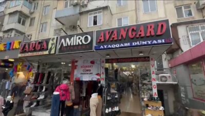 avangard