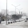 avtobus qar