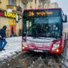 avtobus qarli
