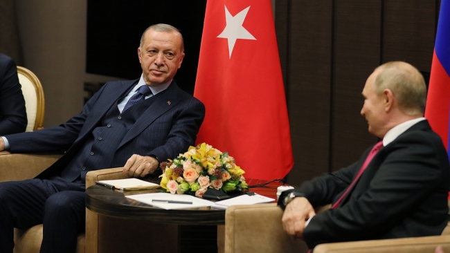erdogan putin se