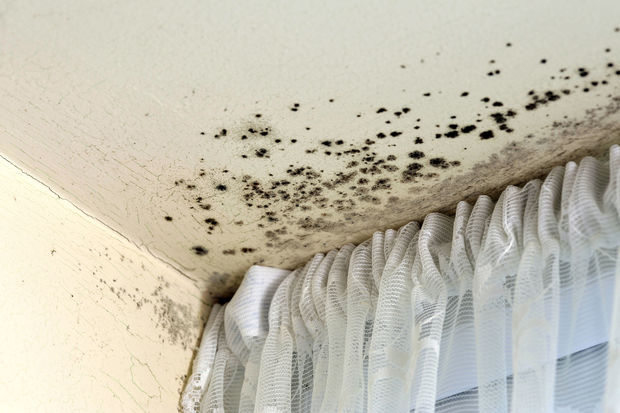 Yeni binalarda niyə nəmişlik əmələ gəlir? - VİDEO 1 Yeni binalarda niyə nəmişlik əmələ gəlir? - VİDEO