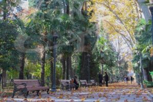 Gəncənin məşhur “Xan bağı”nda insident – İki dost həbs edildi