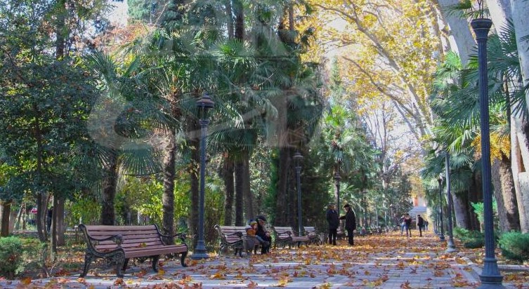 Gəncənin məşhur “Xan bağı”nda insident – İki dost həbs edildi