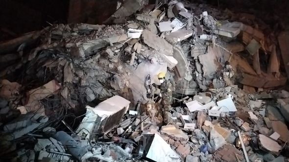 FHN Kahramanmaraşda axtarış işlərinə itləri də cəlb etdi - FOTOLAR 4 FHN Kahramanmaraşda axtarış işlərinə itləri də cəlb etdi - FOTOLAR