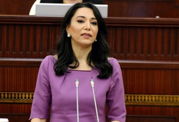 Ombudsman Quranın yandırılması ilə bağlı isveçli həmkarına məktub göndərdi